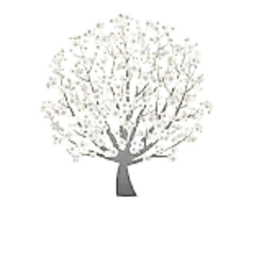 Virginia Blossoms Logo